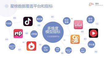 星榜加入中国商务广告协会数字营销委员会 引领广告业务新篇章